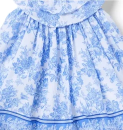 Janie and Jack Dresses-Baby Floral Border Dress dreamy blue floral