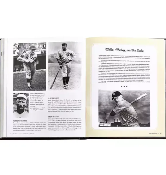Janie and Jack Books-BASEBALL HALL OF FAME LEATHER EDITION tan