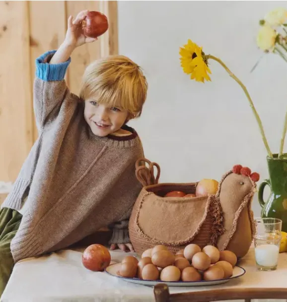 Janie and Jack Storage-Basket Chicken toffee