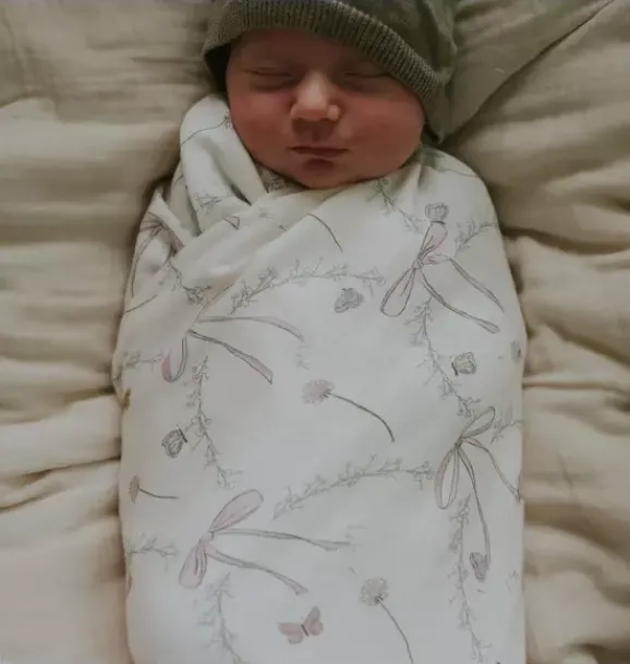 Janie and Jack Nursery|Blankets And Quilts-Bows & Butterfly Kisses Swaddle - pink