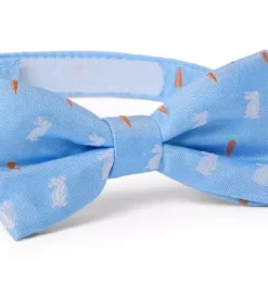 Janie and Jack Ties|Suiting-Bunny Bowtie breezy blue bunny