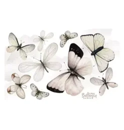Janie and Jack Wallpaper-Butterfly Dance Wall Decal Set multi