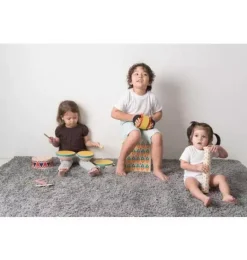 Janie and Jack Musical Instruments-Concertina multi