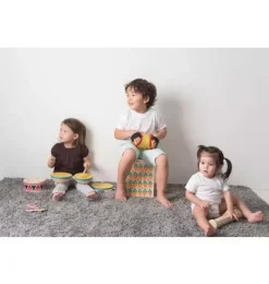 Janie and Jack Musical Instruments-Concertina multi