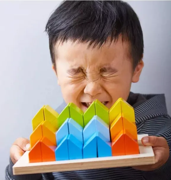 Janie and Jack Development Toys-Creative Stones 3D Wooden Arranging Blocks multi-color