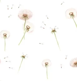 Janie and Jack Wallpaper-Dandelions Wallpaper multi