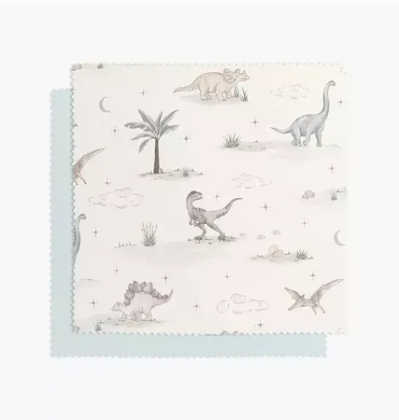 Janie and Jack Blankets And Quilts-Dino Dreams Twin Set - sage