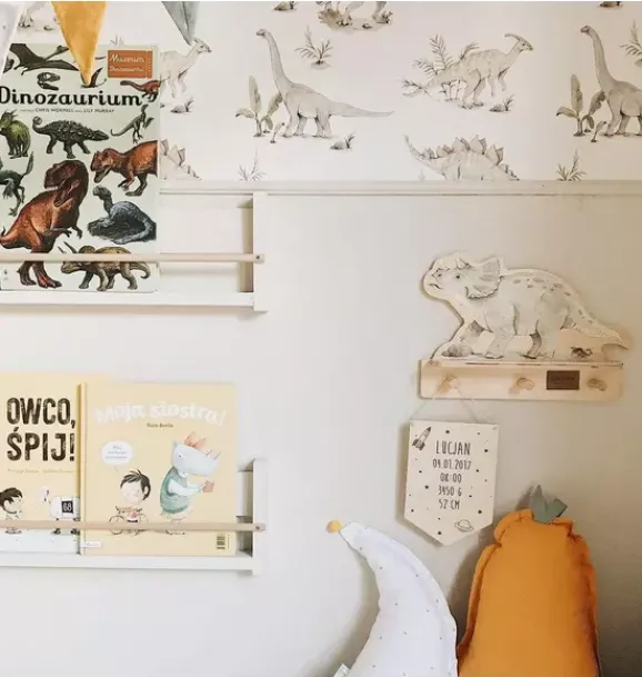 Janie and Jack Shelving-Dino Mini Shelf multi