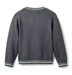 Janie and Jack Sweaters & Sweatshirts-Dinosaur Sweater charcoal heather