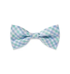 Janie and Jack Pet Apparel|Dog Accessories-Dog Bow Tie in spring gingham