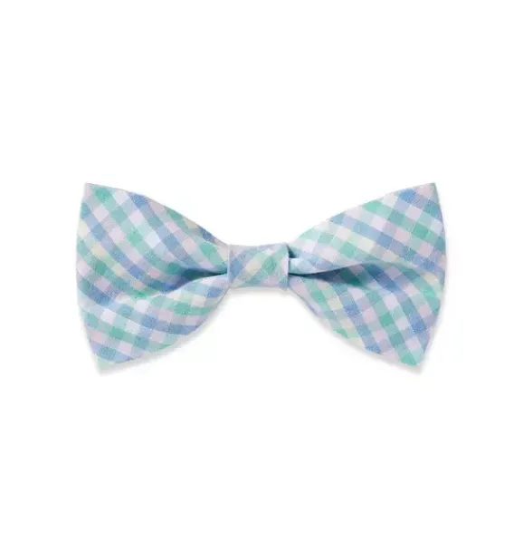 Janie and Jack Pet Apparel|Dog Accessories-Dog Bow Tie in spring gingham