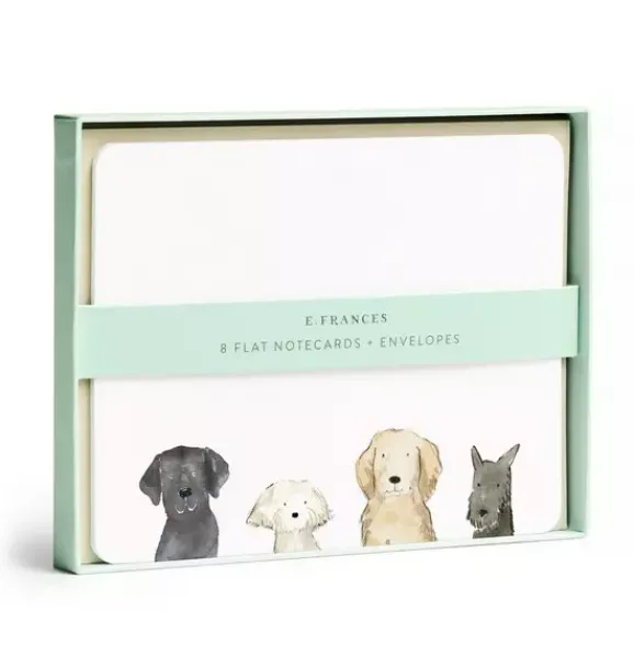 Janie and Jack Stationery-Dog Days Flat Notes multi