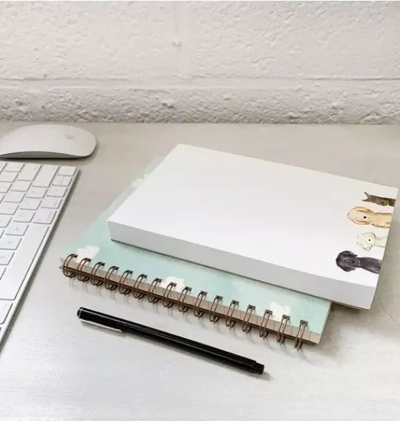 Janie and Jack Stationery-Dog Days Notepad multi