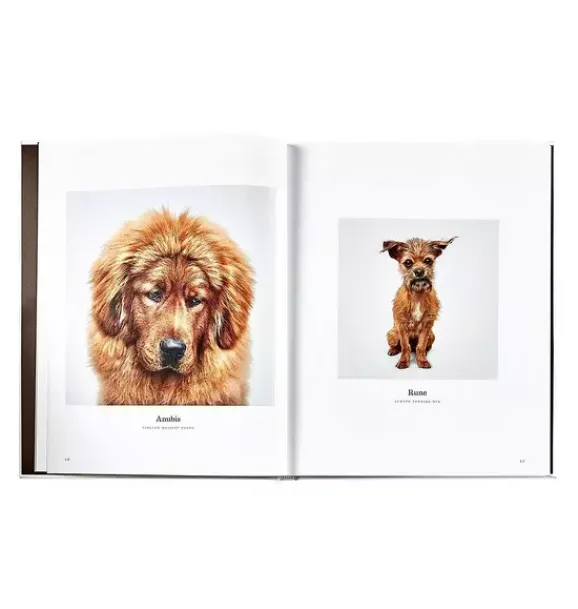 Janie and Jack Books-GOOD DOG LEATHER EDITION ivory