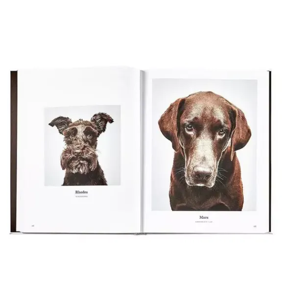 Janie and Jack Books-GOOD DOG LEATHER EDITION ivory