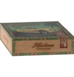 Janie and Jack Dolls-Grandma & Grandpa Mice in Cigarbox multi