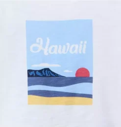 Janie and Jack Tees-Hawaii Tee white
