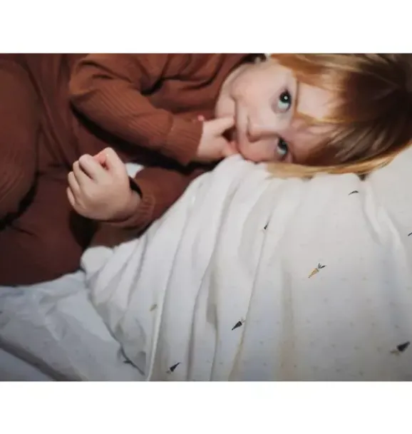 Janie and Jack Sheets-Organic Pillowcase carrotology