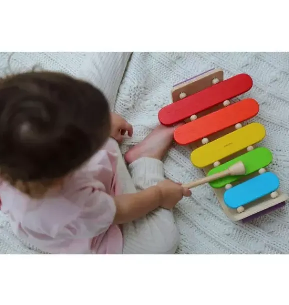 Janie and Jack Musical Instruments-Oval Xylophone multi