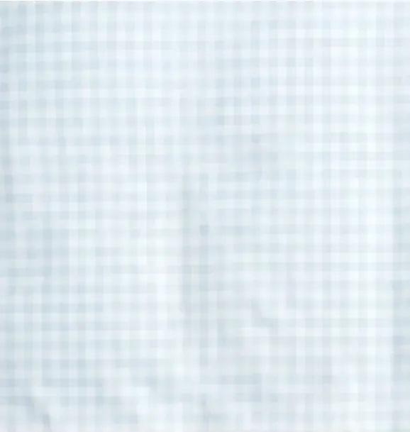 Janie and Jack Bedding Basics-Picnic Gingham Toddler Pillow Set - blue