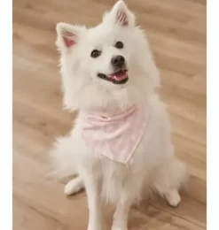 Janie and Jack Pet Apparel|Dog Accessories-Dog Bandana pink gingham