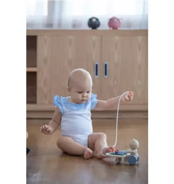 Janie and Jack Musical Instruments-Pull Along Musical Bear multi