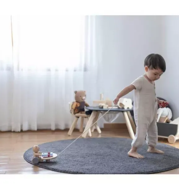 Janie and Jack Musical Instruments-Pull Along Musical Bear multi