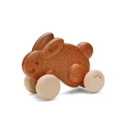 Janie and Jack Development Toys-PUSH ALONG BUNNY-BROWN multi