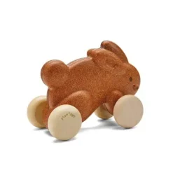 Janie and Jack Development Toys-PUSH ALONG BUNNY-BROWN multi