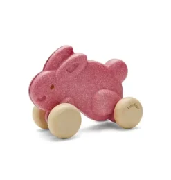 Janie and Jack Development Toys-PUSH ALONG BUNNY-PINK multi