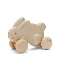 Janie and Jack Development Toys-PUSH ALONG BUNNY-WHITE multi