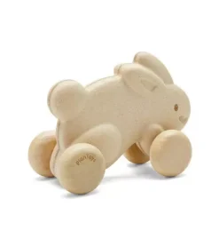 Janie and Jack Development Toys-PUSH ALONG BUNNY-WHITE multi