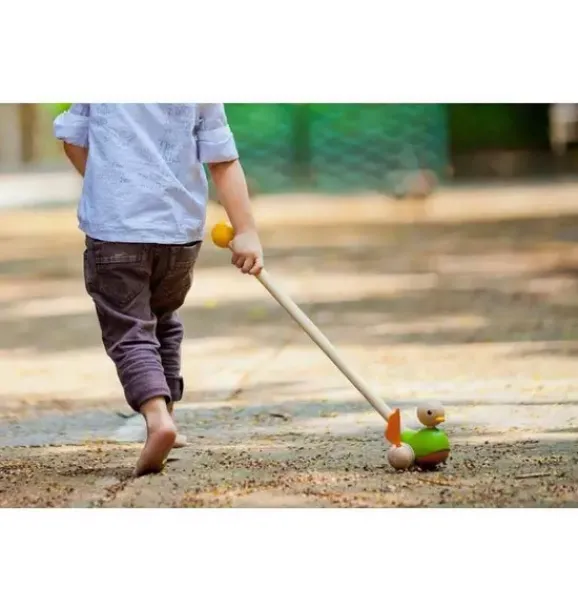 Janie and Jack Development Toys-Push Along Duck multi