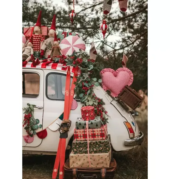 Janie and Jack Seasonal Décor|Decorative Pillows And Throws-"" Heart Pillow with Frill red checkered