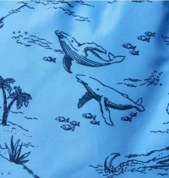 Janie and Jack Swim Trunks|Boy-Recycled Sea Days Swim Trunk field blue sea days