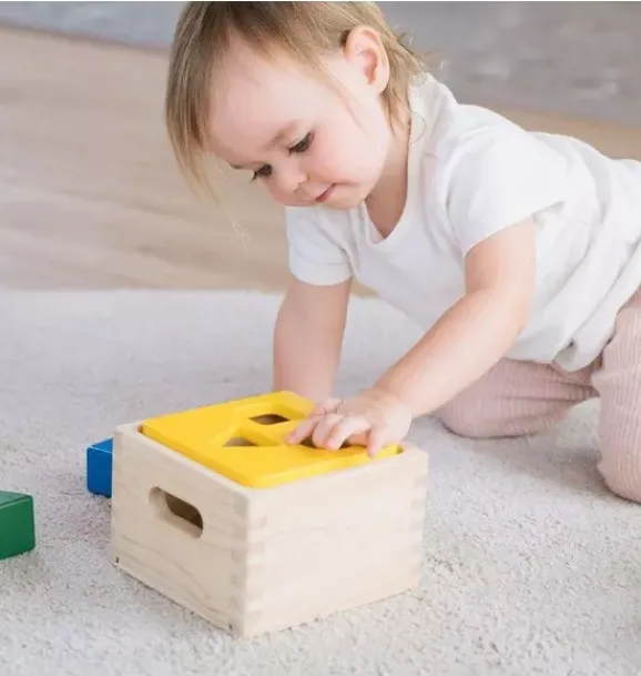 Janie and Jack Development Toys-Shape & Sort It Out multi