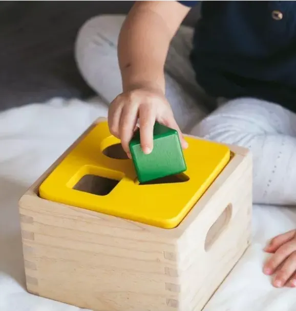 Janie and Jack Development Toys-Shape & Sort It Out multi