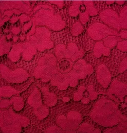 Janie and Jack Dresses-The Leading Lace Dress dark berry