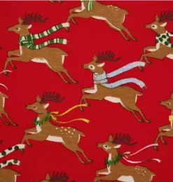 Janie and Jack Family Matching Pajamas|Pajamas-Women's Good Night Pajama In Reindeer bright red reindeer