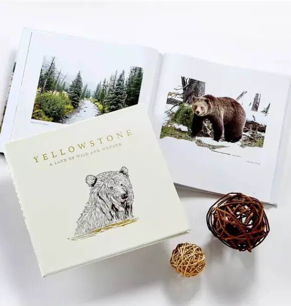 Janie and Jack Books-Yellowstone: A Land of Wild and Wonder LEATHER EDITION ivory