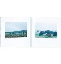 Janie and Jack Books-Yellowstone: A Land of Wild and Wonder LEATHER EDITION ivory