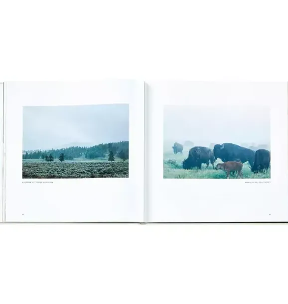 Janie and Jack Books-Yellowstone: A Land of Wild and Wonder LEATHER EDITION ivory