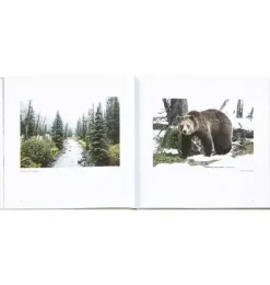 Janie and Jack Books-Yellowstone: A Land of Wild and Wonder LEATHER EDITION ivory