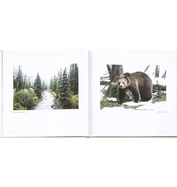 Janie and Jack Books-Yellowstone: A Land of Wild and Wonder LEATHER EDITION ivory
